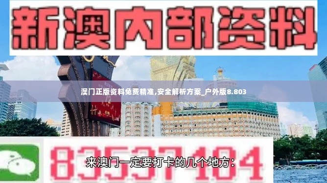 澳门正版资料免费精准,安全解析方案_户外版8.803