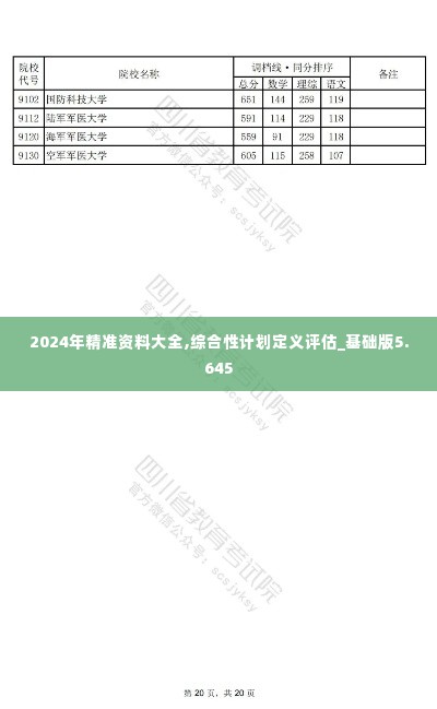 2024年精准资料大全,综合性计划定义评估_基础版5.645