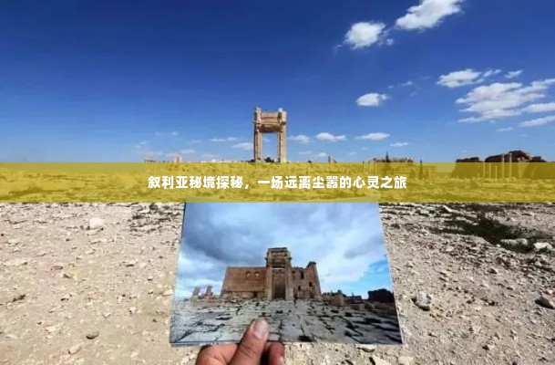 叙利亚秘境探秘，心灵之旅远离尘嚣