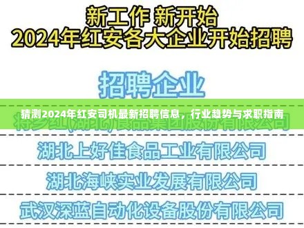 2024年红安司机最新招聘趋势及行业展望，求职指南