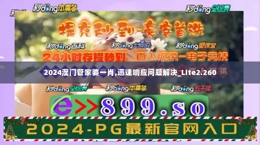 2024澳门管家婆一肖,迅速响应问题解决_Lite2.260