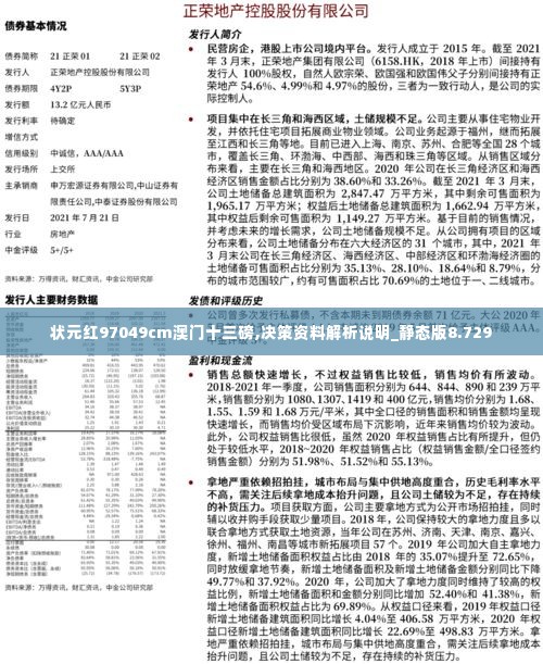 状元红97049cm澳门十三磅,决策资料解析说明_静态版8.729