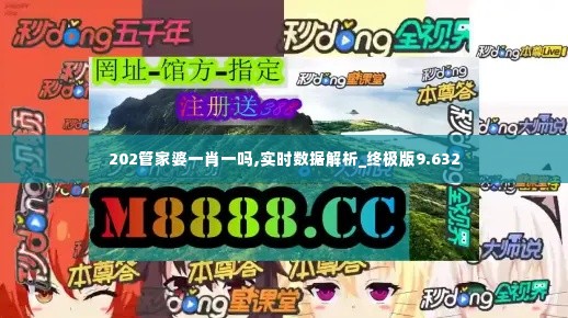 202管家婆一肖一吗,实时数据解析_终极版9.632