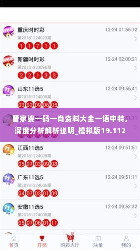 管家婆一码一肖资料大全一语中特,深度分析解析说明_模拟版19.112