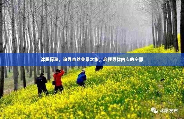 沭阳自然探秘之旅，追寻美景与内心宁静的启程