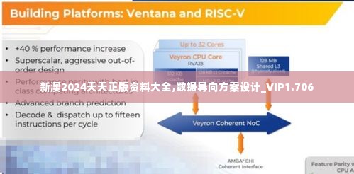 新澳2024天天正版资料大全,数据导向方案设计_VIP1.706