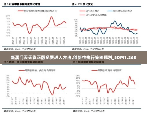 新澳门天天彩正版免费进入方法,创新性执行策略规划_5DM1.268