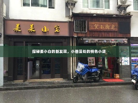 探秘小巷深处的特色小店，姜小白的新发现之旅