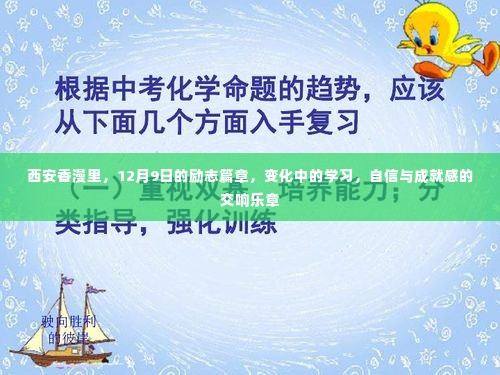 西安香漫里励志篇章，自信交响与成就感的蜕变学习之旅（12月9日）