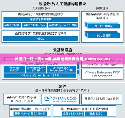 新澳门一码一码100准,实地考察数据应用_PalmOS4.707