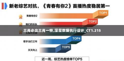 三肖必出三肖一特,深层数据执行设计_CT1.215