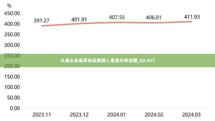 九龙心水高手论坛资料1,专业分析说明_S2.411