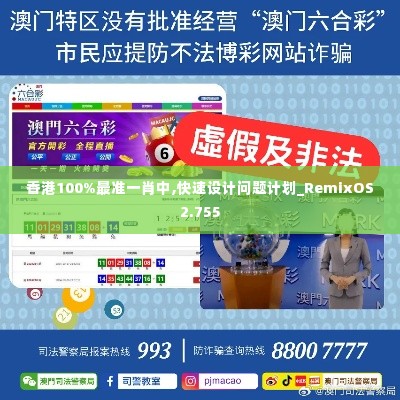 香港100%最准一肖中,快速设计问题计划_RemixOS2.755