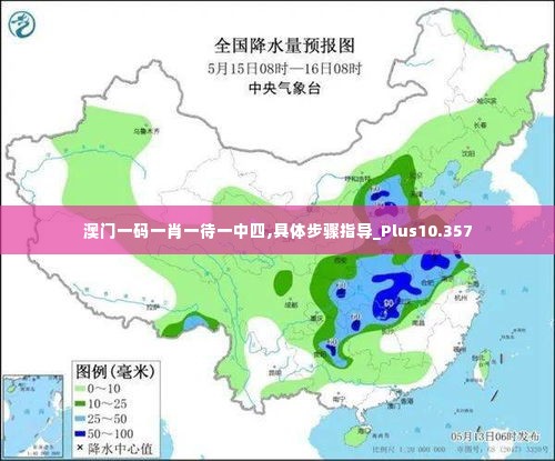 澳门一码一肖一待一中四,具体步骤指导_Plus10.357