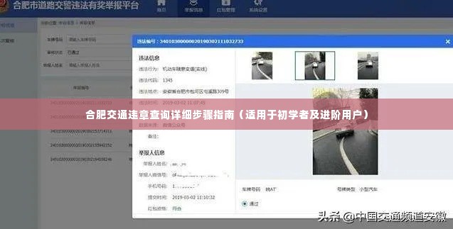 合肥交通违章查询步骤详解，初学者与进阶用户指南