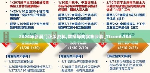 2024年新澳门正版资料,数据导向实施步骤_Tizen6.704