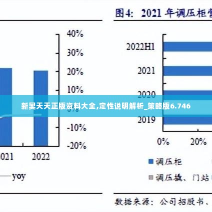 新奥天天正版资料大全,定性说明解析_策略版6.746