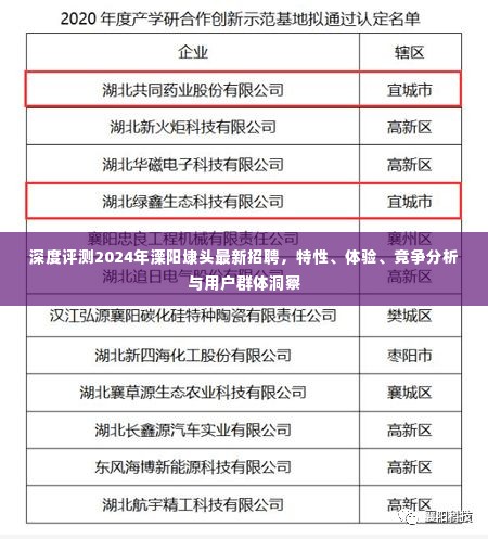 深度解析，溧阳埭头最新招聘特性、体验、竞争分析与用户洞察