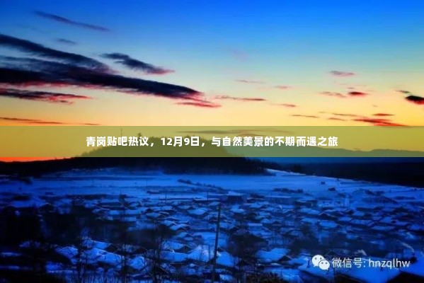 青岗贴吧热议，与自然美景的不期而遇之旅（12月9日）