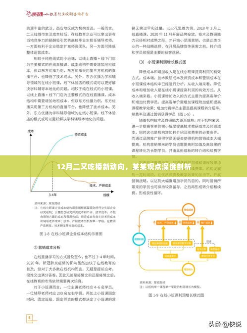 深度解读，吃播新动向与某某观点下的十二月二次热潮