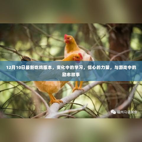 吃鸡游戏的新篇章，学习变化、信心力量与励志故事