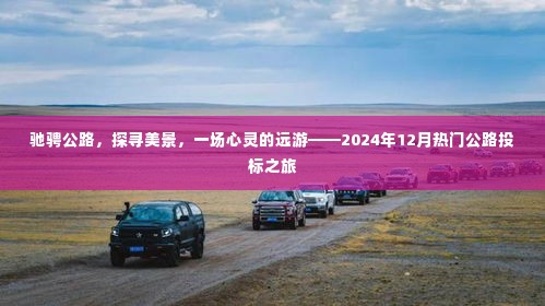 驰骋公路探寻美景，心灵远游之旅——热门公路投标之旅（2024年12月）