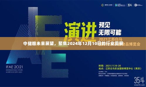 中储粮行业洞察，聚焦未来展望至2024年12月10日的发展展望