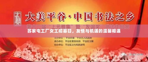 苏家屯工厂女工招募日，友情与机遇的交汇盛会