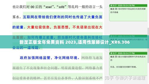 新澳正版全年免费资料 2023,适用性策略设计_XR6.306