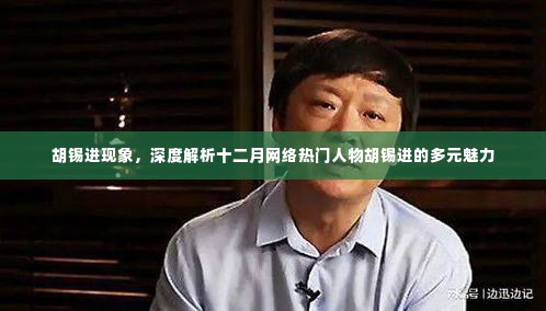 胡锡进现象，深度解析十二月网络热门人物的多元魅力