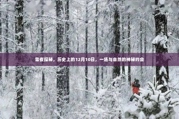 雪夜探秘，历史上的神秘约会——纪念12月10日与自然之约