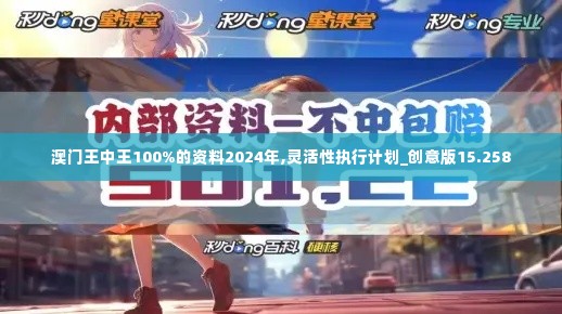 澳门王中王100%的资料2024年,灵活性执行计划_创意版15.258