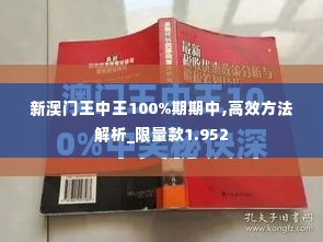 新澳门王中王100%期期中,高效方法解析_限量款1.952