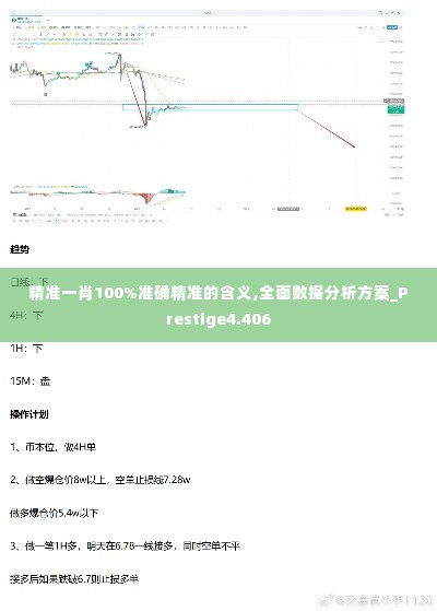 精准一肖100%准确精准的含义,全面数据分析方案_Prestige4.406