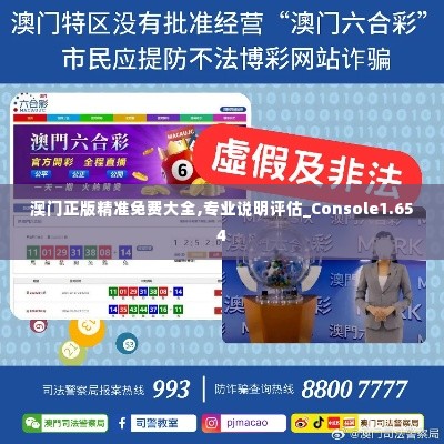 澳门正版精准免费大全,专业说明评估_Console1.654