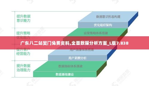 广东八二站奥门兔费资料,全面数据分析方案_L版7.838