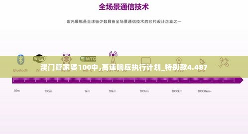 澳门管家婆100中,高速响应执行计划_特别款4.487