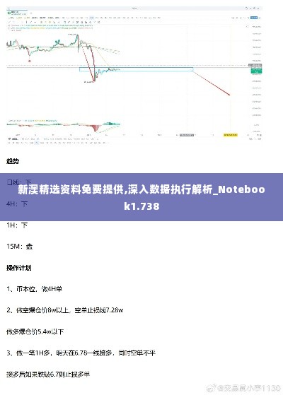 新澳精选资料免费提供,深入数据执行解析_Notebook1.738