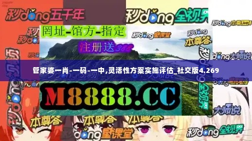 管家婆一肖-一码-一中,灵活性方案实施评估_社交版4.269