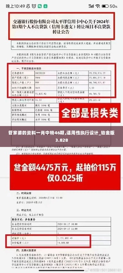 管家婆的资料一肖中特46期,适用性执行设计_铂金版3.828