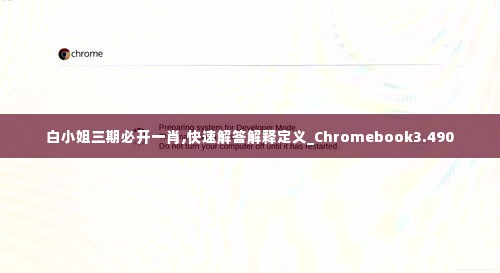 白小姐三期必开一肖,快速解答解释定义_Chromebook3.490