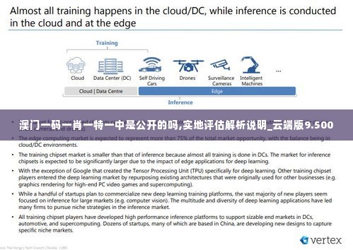 澳门一码一肖一特一中是公开的吗,实地评估解析说明_云端版9.500