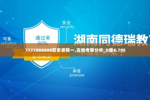 7777888888管家婆网一,实地考察分析_D版6.705