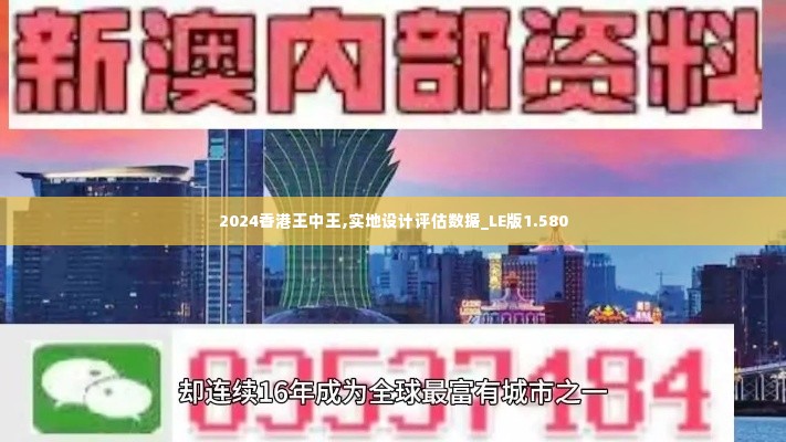 2024香港王中王,实地设计评估数据_LE版1.580