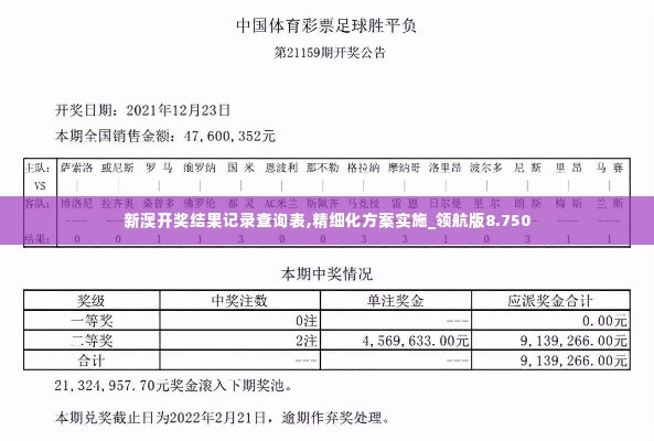 新澳开奖结果记录查询表,精细化方案实施_领航版8.750