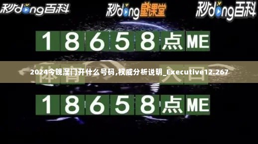 2024今晚澳门开什么号码,权威分析说明_Executive12.267