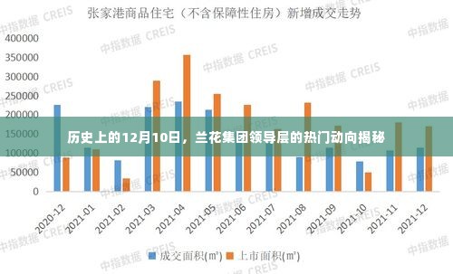 兰花集团领导层动向揭秘，历史上的十二月十日回顾