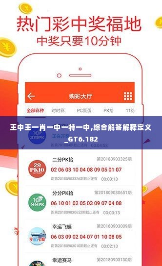 王中王一肖一中一特一中,综合解答解释定义_GT6.182