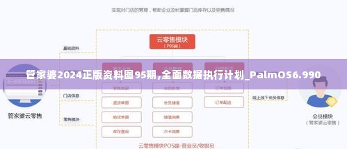 管家婆2024正版资料图95期,全面数据执行计划_PalmOS6.990