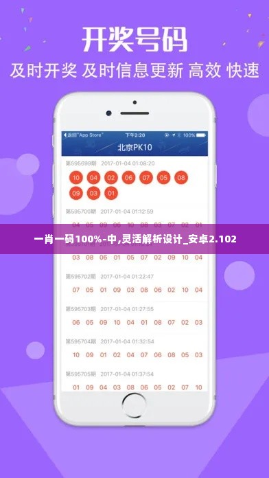 一肖一码100%-中,灵活解析设计_安卓2.102